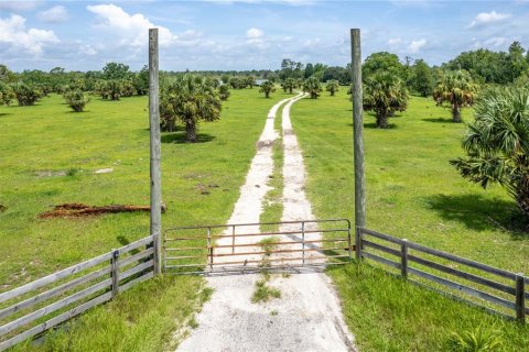 Land in Umatilla, Florida № 1339036 - photo 2