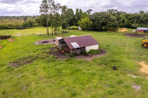 Terreno en venta en Umatilla, Florida № 1339036 - foto 14