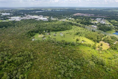 Land in Umatilla, Florida № 1339036 - photo 19