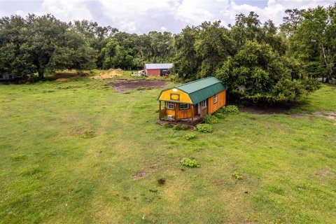 Land in Umatilla, Florida № 1339036 - photo 15