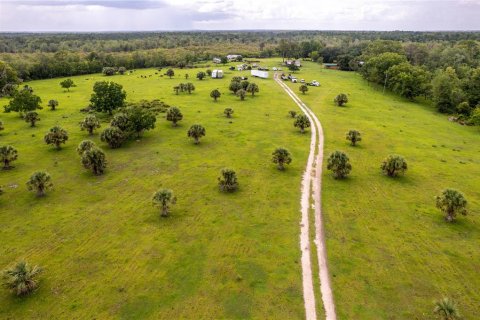 Terreno en venta en Umatilla, Florida № 1339036 - foto 17