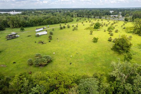 Land in Umatilla, Florida № 1339036 - photo 9