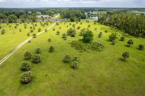 Terrain à vendre à Umatilla, Floride № 1339036 - photo 6