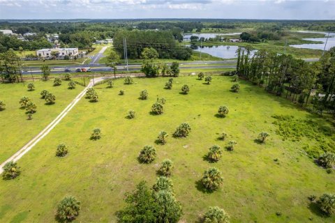 Land in Umatilla, Florida № 1339036 - photo 7