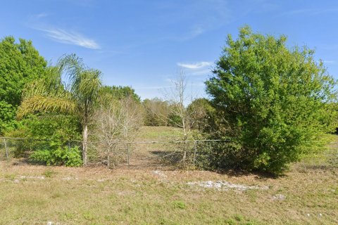 Land in Okeechobee, Florida № 1132706 - photo 3