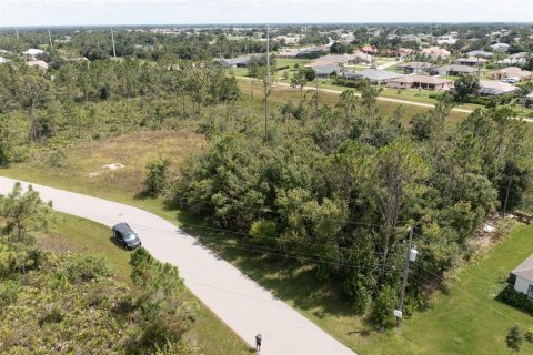 Terrain à vendre à Punta Gorda, Floride № 1299059 - photo 10