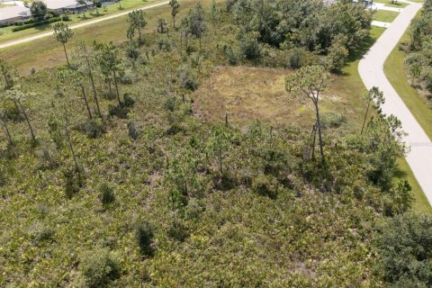 Terrain à vendre à Punta Gorda, Floride № 1299059 - photo 9