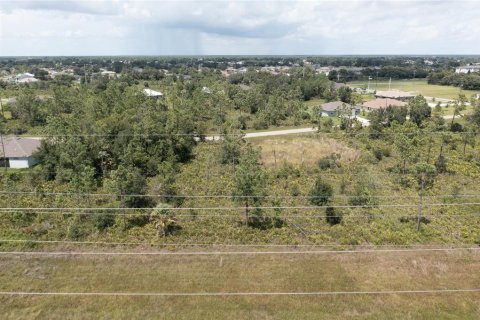 Terrain à vendre à Punta Gorda, Floride № 1299059 - photo 7