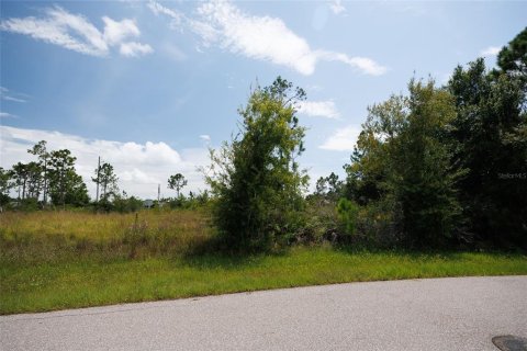 Terrain à vendre à Punta Gorda, Floride № 1299059 - photo 5