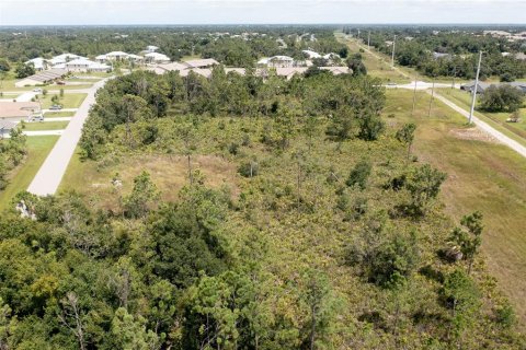 Terrain à vendre à Punta Gorda, Floride № 1299059 - photo 8