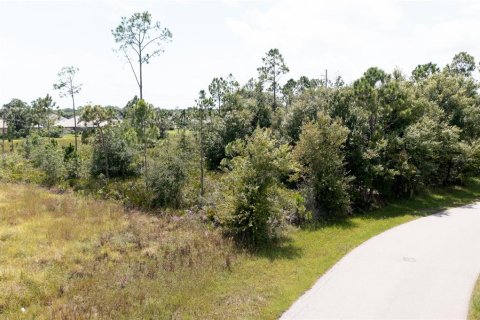 Terrain à vendre à Punta Gorda, Floride № 1299059 - photo 6