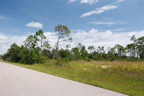 Terrain à vendre à Punta Gorda, Floride № 1299058 - photo 4