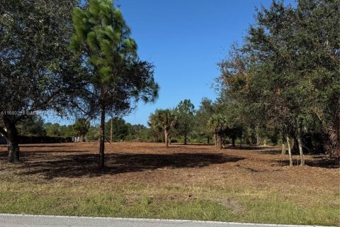 Terreno en venta en Clewiston, Florida № 1415746 - foto 3