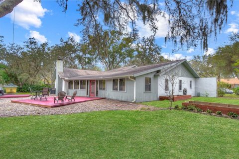 Villa ou maison à vendre à Brandon, Floride: 4 chambres, 236.16 m2 № 966879 - photo 2