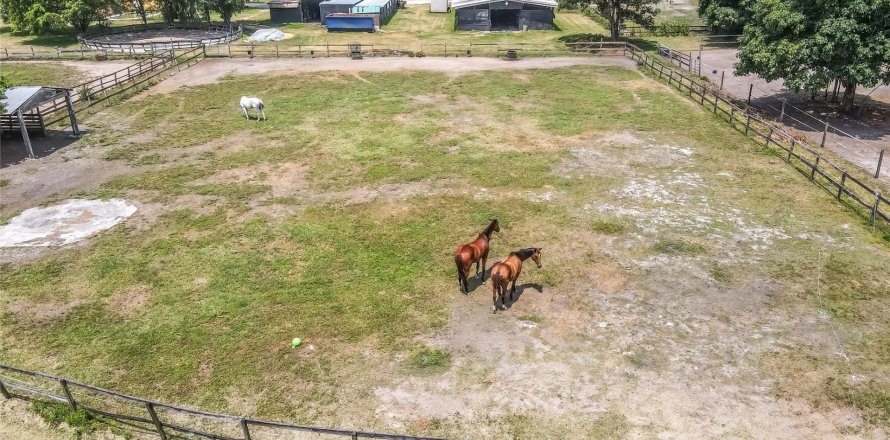 Дом в Саутвест-Ранчес, Флорида 11 комнат, 600.98м2 № 1182351