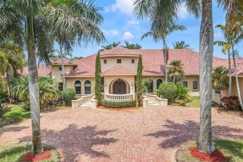 Villa ou maison à vendre à Southwest Ranches, Floride: 6 chambres, 600.98 m2 № 1182351 - photo 2