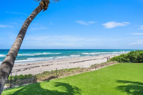 Villa ou maison à vendre à Highland Beach, Floride: 4 chambres, 492.66 m2 № 40300 - photo 10