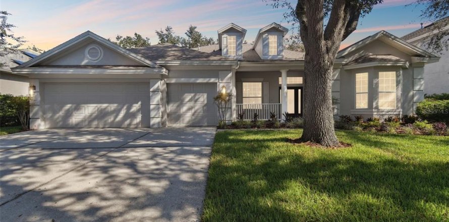 House in Tampa, Florida 5 bedrooms, 293.29 sq.m. № 1382669