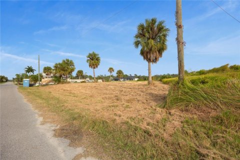 Land in Port Charlotte, Florida № 1283314 - photo 11