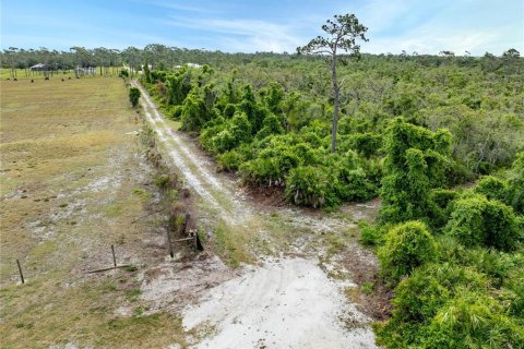 Terreno en venta en Punta Gorda, Florida № 1124518 - foto 4