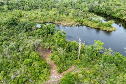 Terrain à vendre à Punta Gorda, Floride № 1124518 - photo 15