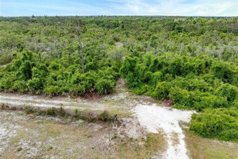 Terrain à vendre à Punta Gorda, Floride № 1124518 - photo 3