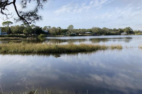 Land in Cedar Key, Florida № 1369942 - photo 2