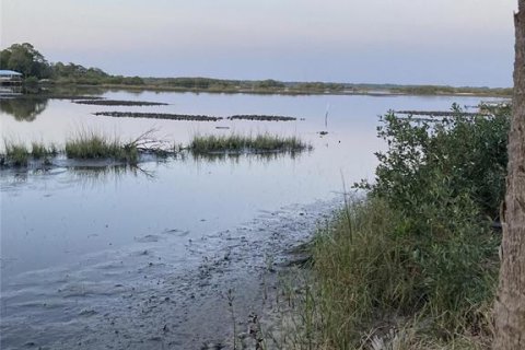 Land in Cedar Key, Florida № 1369942 - photo 8