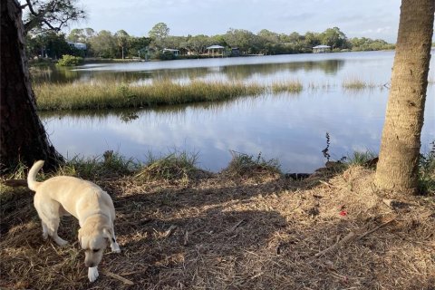 Terreno en venta en Cedar Key, Florida № 1369942 - foto 3