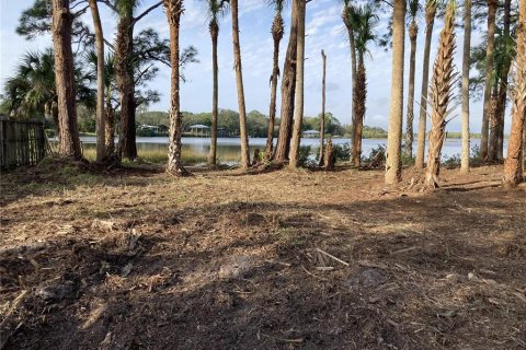 Terrain à vendre à Cedar Key, Floride № 1369942 - photo 4