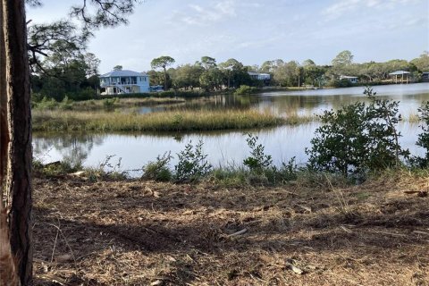 Land in Cedar Key, Florida № 1369942 - photo 6