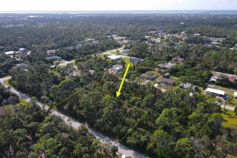 Land in Port Charlotte, Florida № 877689 - photo 2