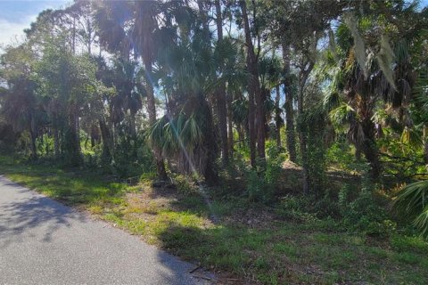 Terreno en venta en Port Charlotte, Florida № 877689 - foto 10