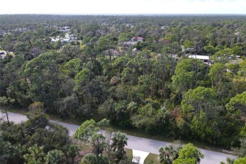 Terreno en venta en Port Charlotte, Florida № 877689 - foto 8