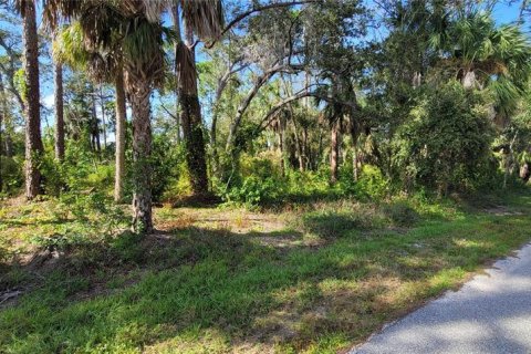 Land in Port Charlotte, Florida № 877689 - photo 1