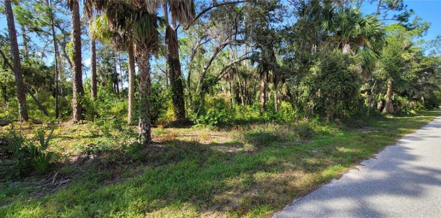 Terrain à Port Charlotte, Floride № 877689