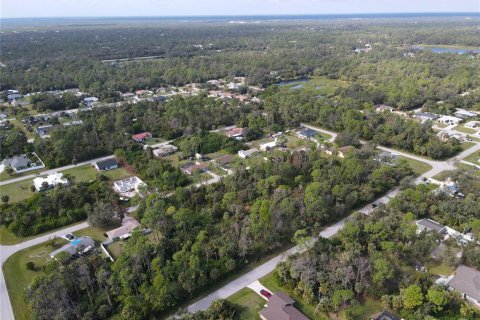 Land in Port Charlotte, Florida № 877689 - photo 6