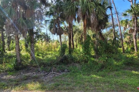 Land in Port Charlotte, Florida № 877689 - photo 11