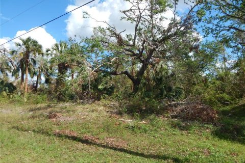 Land in Port Charlotte, Florida № 242213 - photo 5