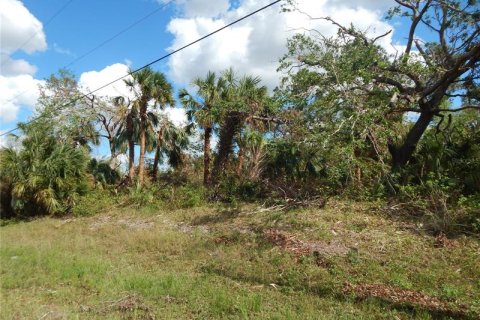 Land in Port Charlotte, Florida № 242213 - photo 4