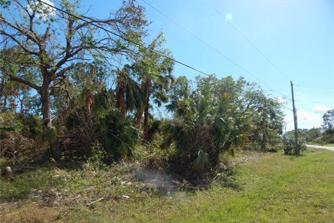 Terreno en venta en Port Charlotte, Florida № 242213 - foto 2