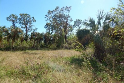 Купить земельный участок в Порт-Шарлотт, Флорида № 242218 - фото 6