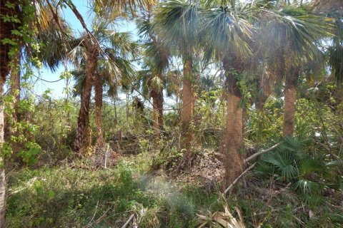 Купить земельный участок в Порт-Шарлотт, Флорида № 242218 - фото 9