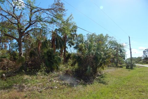 Купить земельный участок в Порт-Шарлотт, Флорида № 242218 - фото 2