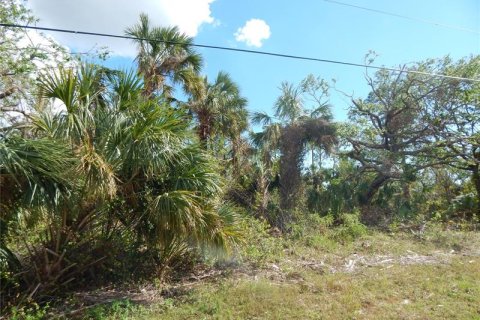 Купить земельный участок в Порт-Шарлотт, Флорида № 242218 - фото 3