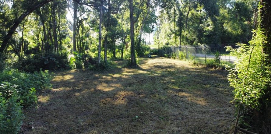 Land in Dade City, Florida № 1256253