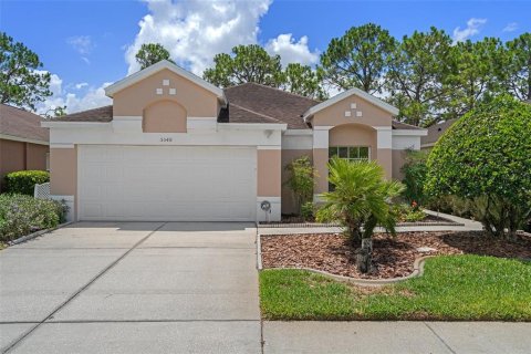 Casa en venta en Wesley Chapel, Florida, 3 dormitorios, 165.37 m2 № 1259552 - foto 1