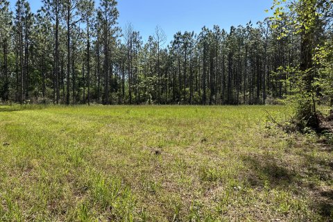 Terrain à vendre à De Funiak Springs, Floride № 562134 - photo 14