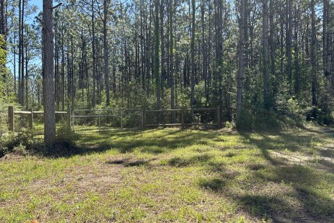 Terrain à vendre à De Funiak Springs, Floride № 562134 - photo 12