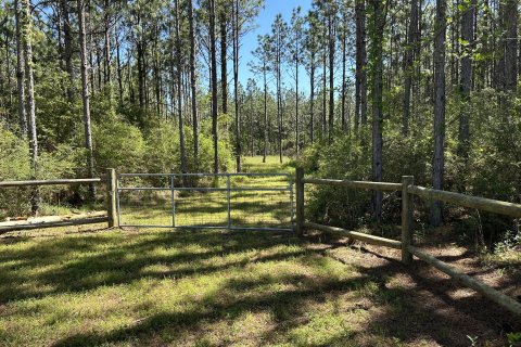 Terrain à vendre à De Funiak Springs, Floride № 562134 - photo 13